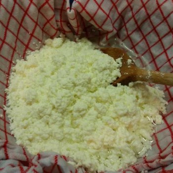 Mandelkuchen Mattentart lowcarb glutenfrei