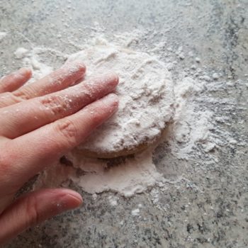 Rezept Low Carb Wraps glutenfrei sojafrei selbstgemacht mit Bambusfaser