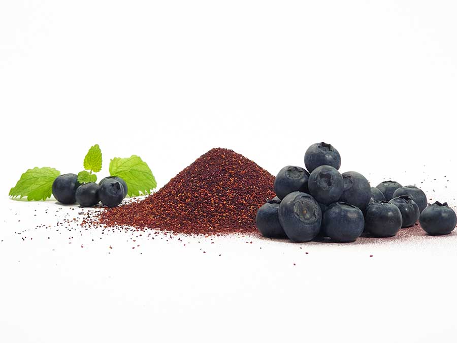 Fruchtpulver WILDE BLAUBEERE Blaubeerpulver gefriergetrocknet 100% Natur