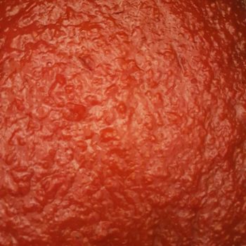 Rezept Ketchup lowcarb zuckerfrei ohne Zucker kalorienarm