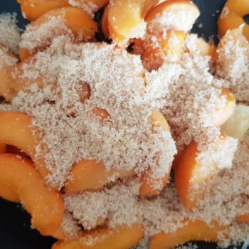 Rezept Marillen Aprikosen Kollagenpudding lowcarb glutenfrei