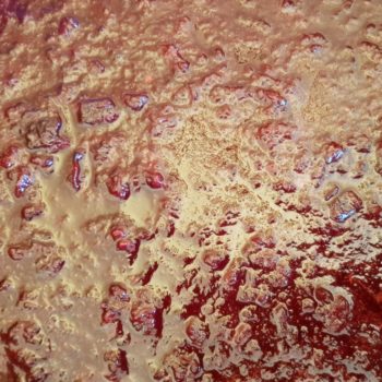 Rezept Kirsch Karamell Sirup lowcarb