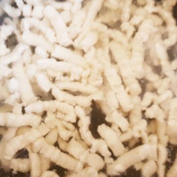 Rezept Mohn Quark Spätzle mit karamellisierten Aprikosen-Marillen lowcarb glutenfrei