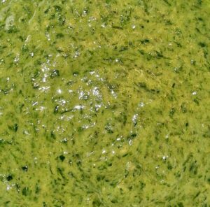 Rezept Bärlauch Kräuter Backofen Omelette low carb keto glutenfrei