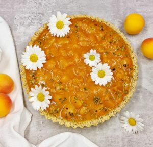 Rezept Mohn Vanille Grießpudding Tarte mit Marillentopping low carb keto glutenfrei