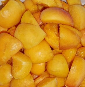 Rezept Mohn Vanille Grießpudding Tarte mit Marillentopping low carb keto glutenfrei